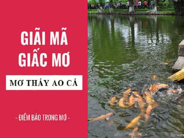 Điềm báo trong giấc mơ thấy ao cá