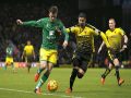 Nhận định bóng đá Watford vs Norwich (00h00 ngày 8/7)