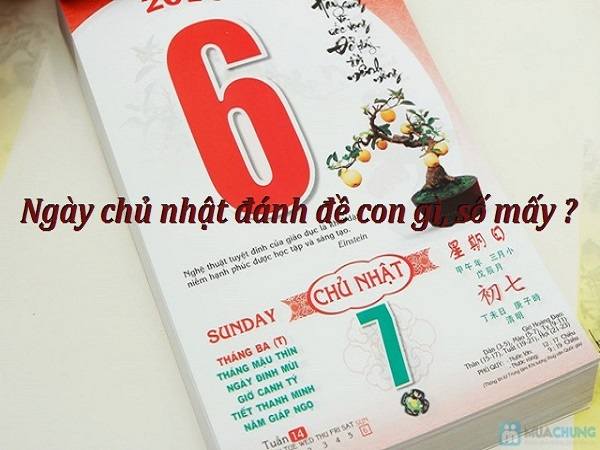 Chủ nhật đánh con gì?