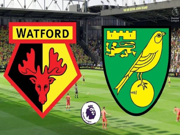 Nhận định trận đấu Watford vs Norwich, 0h00 ngày 21/4