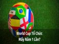 World Cup mấy năm 1 lần? Những thông tin thú vị về World Cup