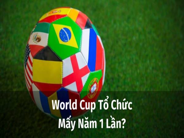 World Cup mấy năm 1 lần? Những thông tin thú vị về World Cup