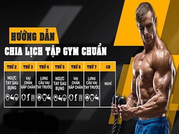 Lịch tập Gym tại nhà đơn giản, hiệu quả dành cho nam