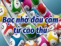 Tuyệt chiêu thống kê bạc nhớ theo đầu câm đuôi câm tân thủ nên biết