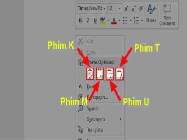 Cách Copy một trang trong Word đơn giản, nhanh chóng