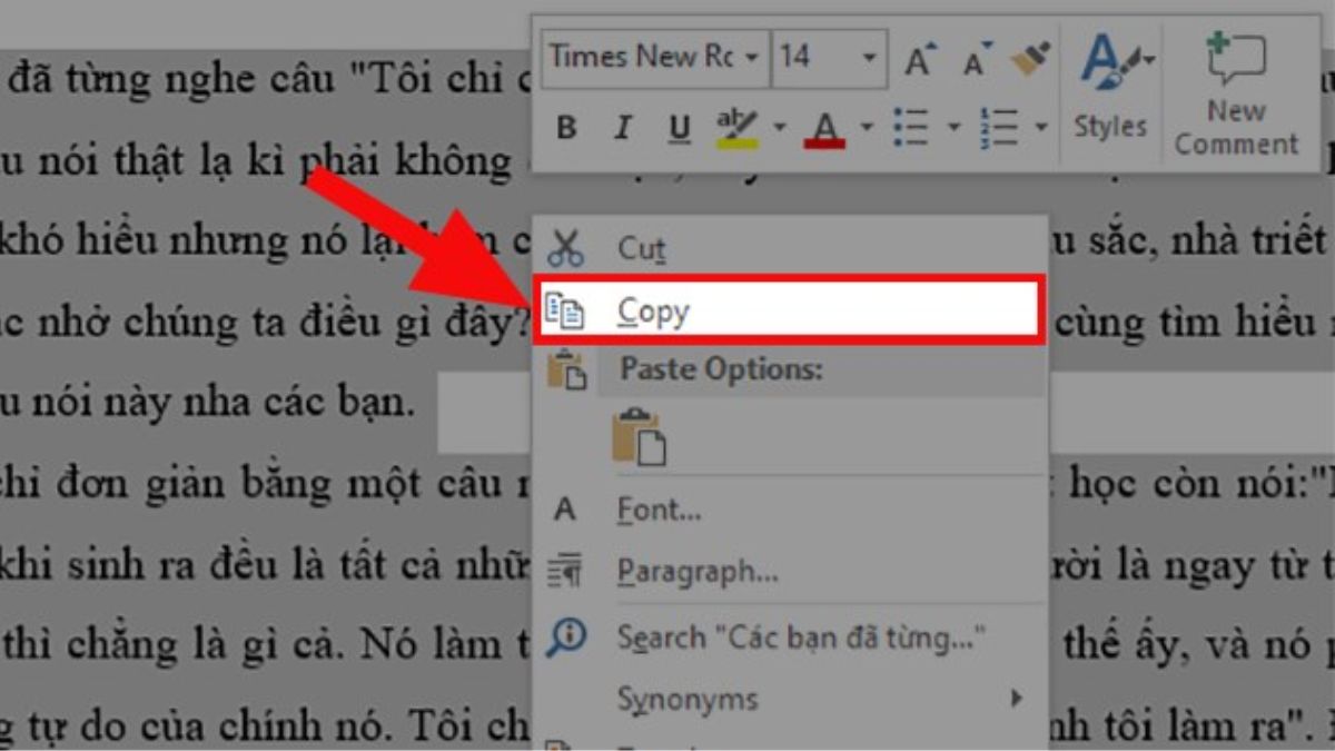 Nhấp chuột phải và chọn Copy.