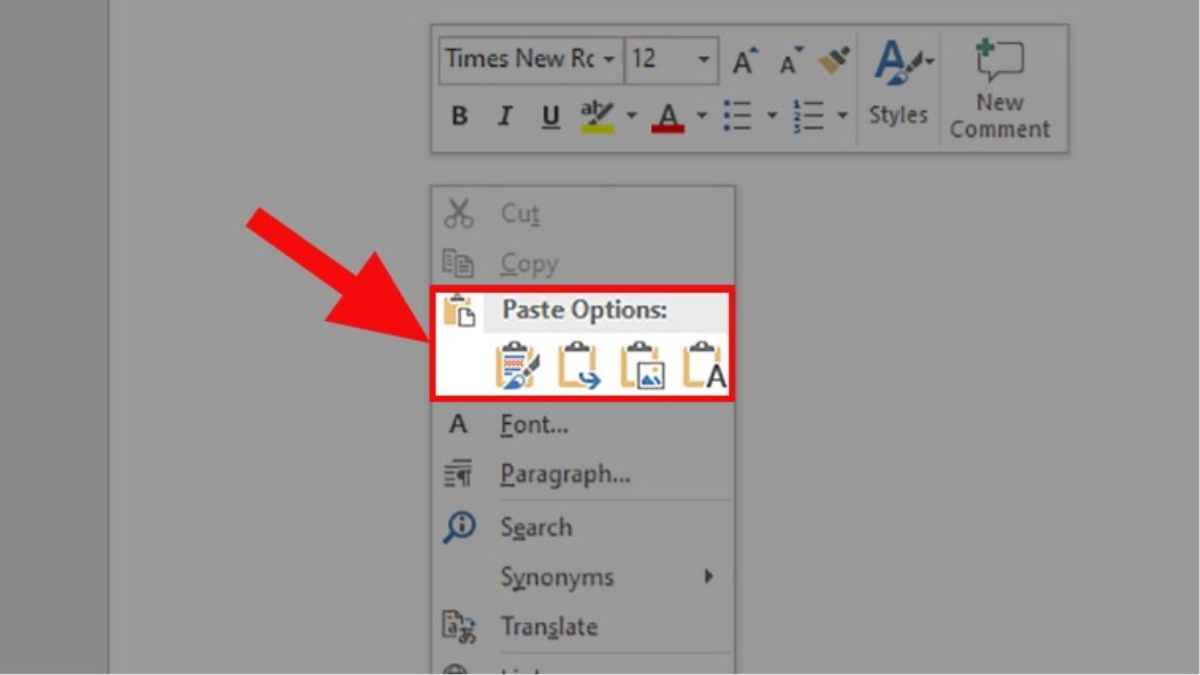 Chuyển đến vị trí muốn dán -> nhấp chuột phải -> chọn Paste Options